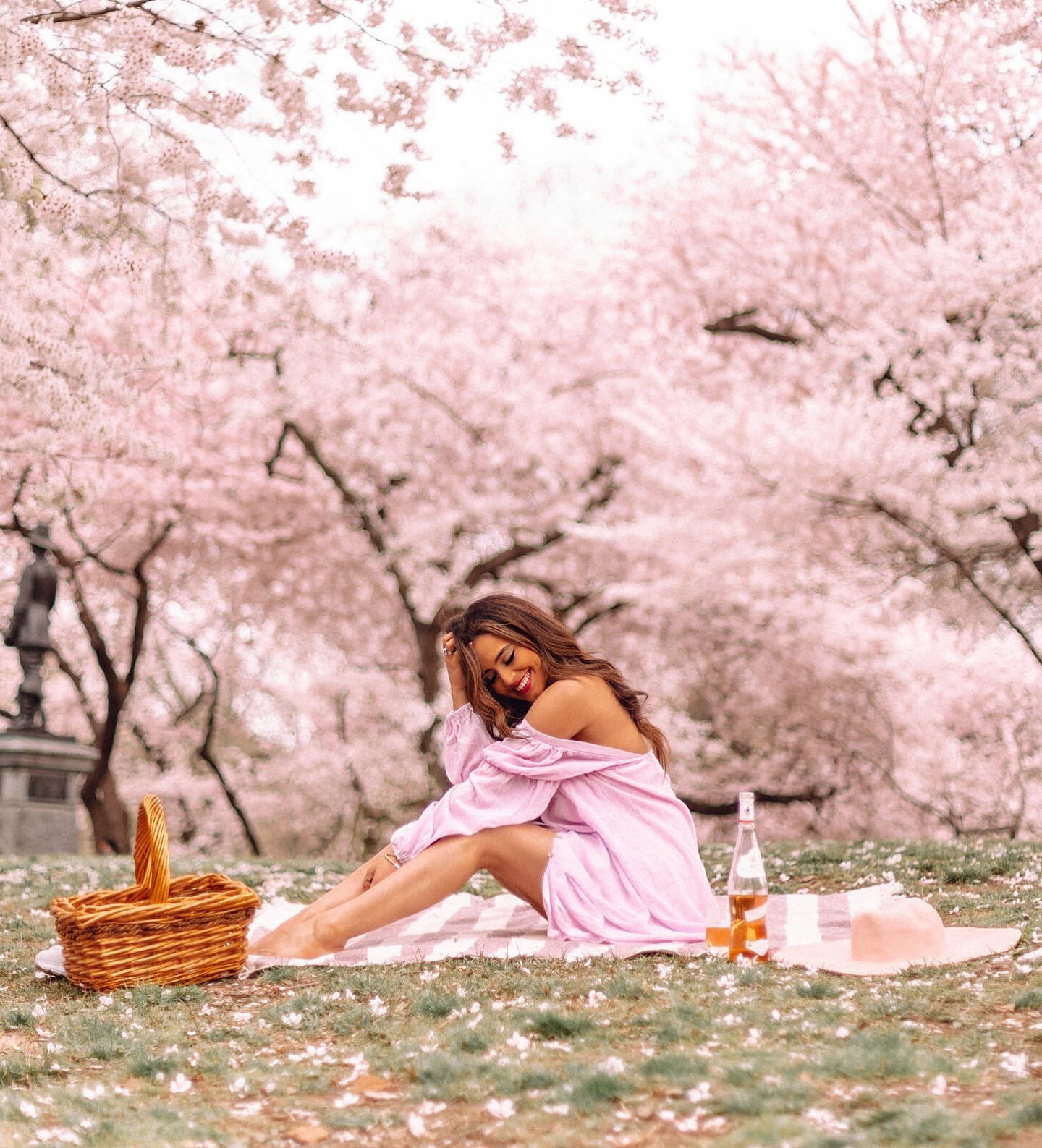 where to find cherry blossoms in new york city